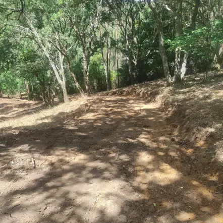 Preparação de terrenos