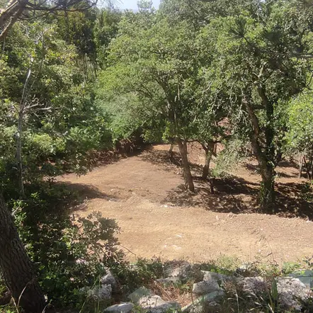 Preparação de terrenos